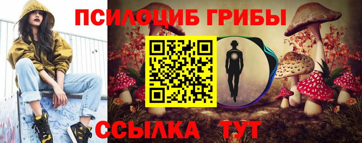 Нарткала  Галлюциногенные грибы Psilocybe  Вход с VPN 