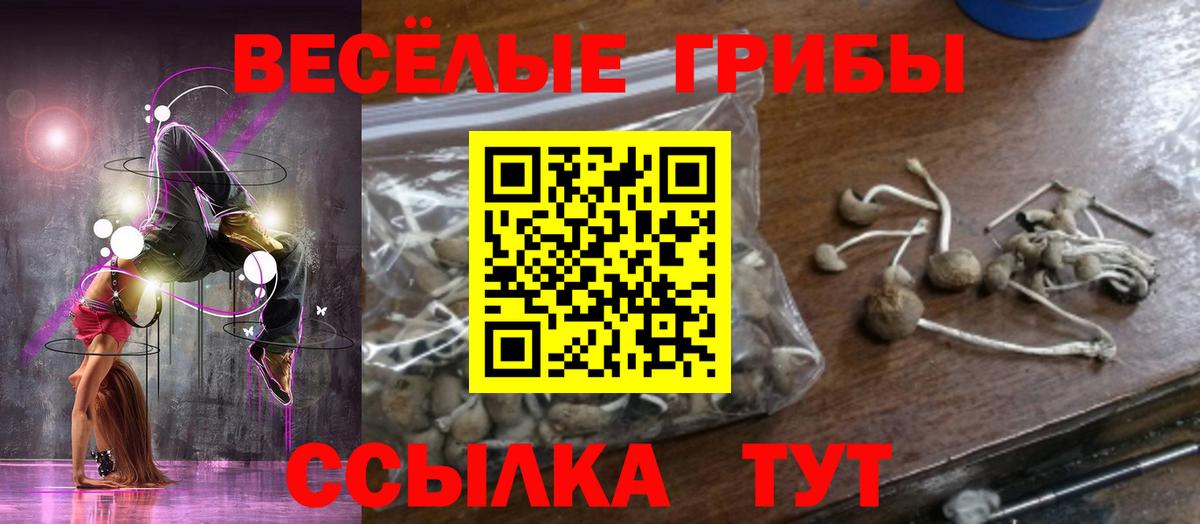 Псилоцибиновые грибы MAGIC MUSHROOMS Нарткала