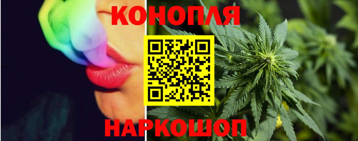 Конопля Bruce Banner  Каннабис OG Kush  Вход с VPN  Нарткала 
